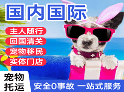 三亚航空货运国际宠物托运 【国